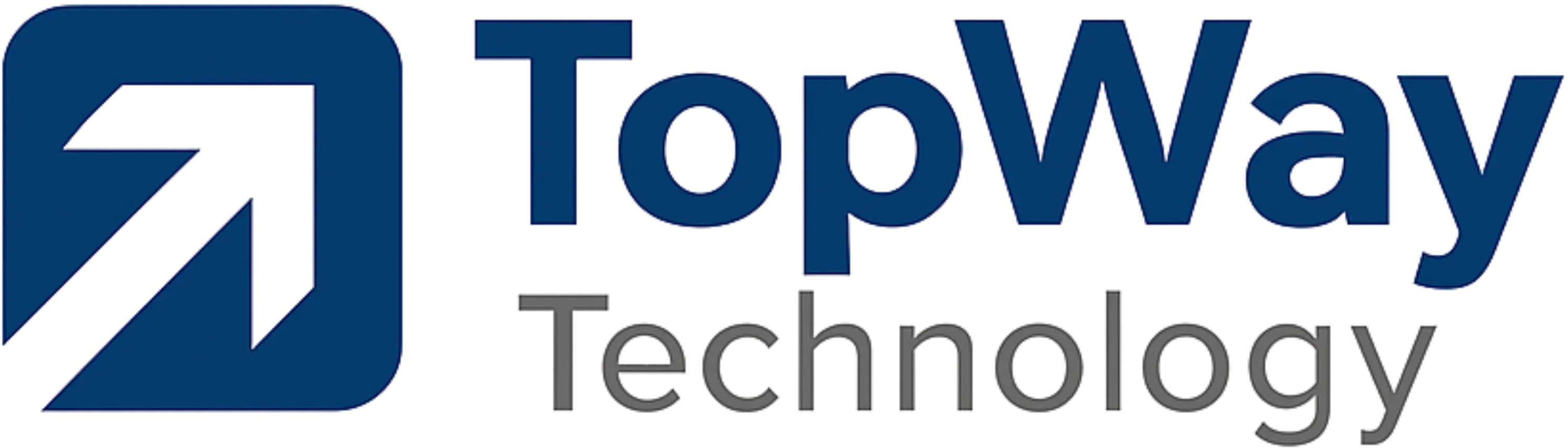 TopWay Logo